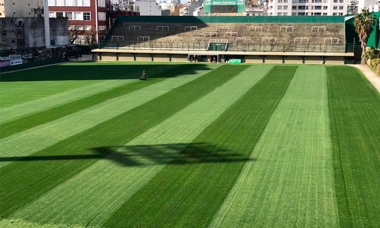 Renovación del campo de juego del Club Ferro Carril Oeste – Info